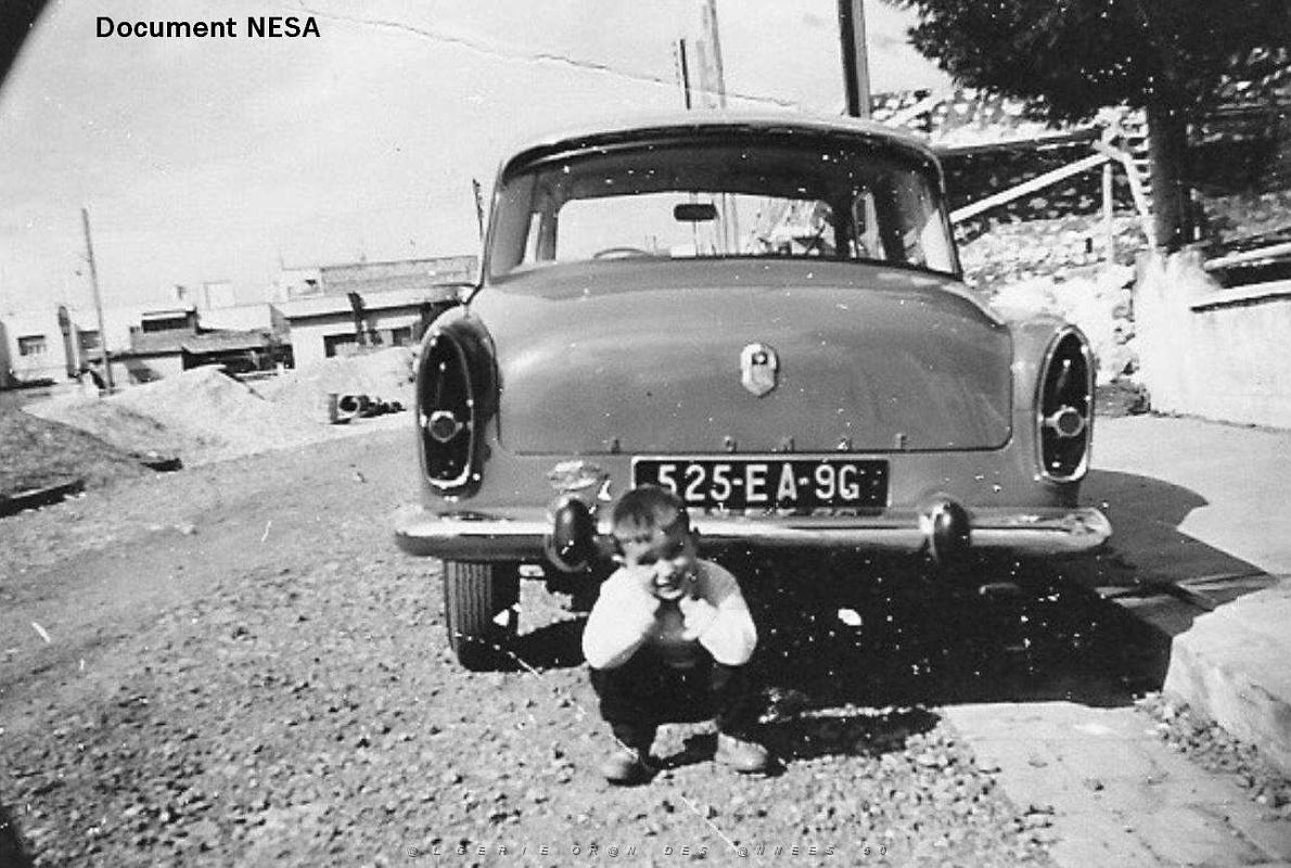 Oran- SDV- 1464- Nesa.JPG